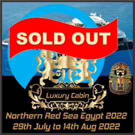 Supermoist Luxury Cabin Red Sea Trip 29 July - 7 Aug 2022
